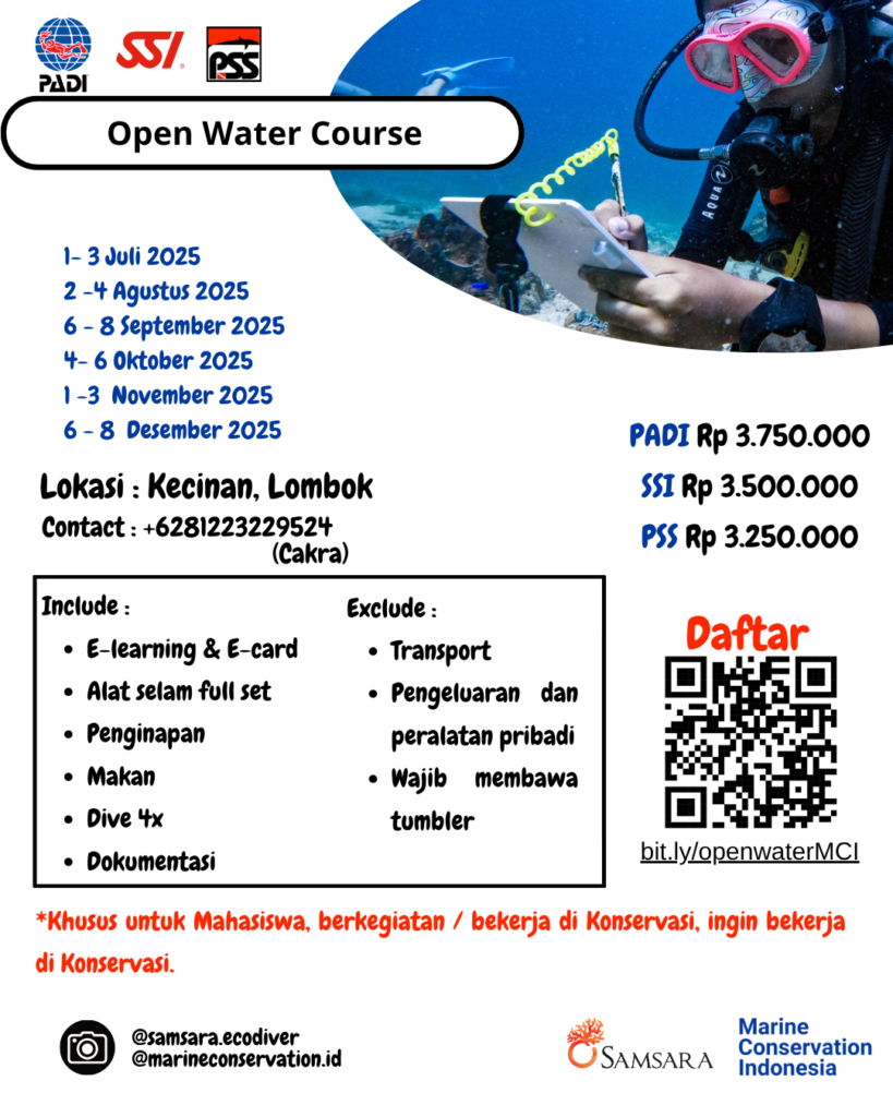 Open Water Diver Course