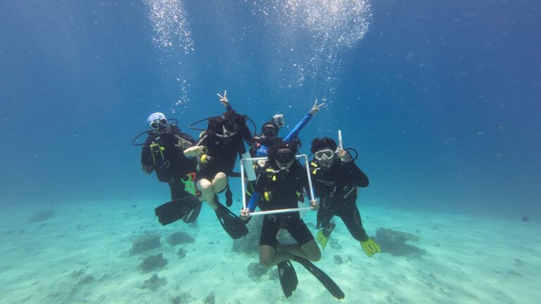 Underwater reef monitoring along a transect line